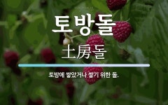토방돌 뜻: 토방에 쌓았거나 쌓기 위한 돌.