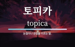 토피카 뜻: 논점이나 관점을 이르는 말.