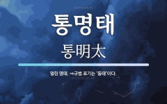 통명태 뜻: 얼린 명태. ⇒규범 표기는 ‘동태’이다.