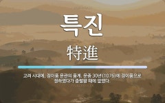 문종 30년(1076)에 정이품으로 정하였다가 충렬왕 특진 뜻: 고려... 시대에, 정이품 문관의 품계. 문종 30년(1076)에 정이품으로 정하였다가 충렬왕 