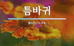 틈바귀 뜻: ‘틈바구니’의 준말.