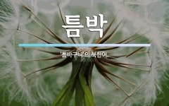 틈박 뜻: ‘틈바구니’의 북한어.