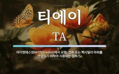 티에이 뜻: 아이엔에스넷64(INSnet64)에서 모뎀, 전화 또는 팩시밀리 따위를 연결하기 위하여 사