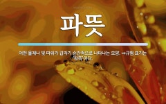 파뜻 뜻: 어떤 물체나 빛 따위가 갑자기 순간적으로 나타나는 모양. ⇒규범 표기는 ‘파뜩’이다.