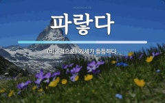 파랗다 뜻: (비유적으로) 기세가 등등하다.