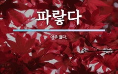 파랗다 뜻: 아주 젊다.