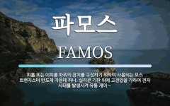 파모스 뜻: 피롬 또는 이피롬 따위의 장치를 구성하기 위하여 사용되는 모스 트랜지스터 반도체 가운데 하