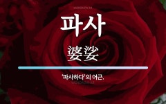 파사 뜻: ‘파사하다’의 어근.