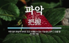 파악 뜻: 어떤 일이 현실적 의의도 있고 수행할 수 있는 가능성도 있어 그 일을 할 자신을 가짐.