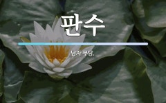 판수 뜻: 남자 무당.