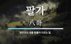 팔가 뜻: 앵무과의 새를 통틀어 이르는 말.