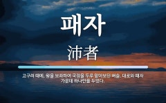 패자 뜻: 고구려 때에, 왕을 보좌하여 국정을 두루 맡아보던 벼슬. 대로와 패자 가운데 하나만을 두었