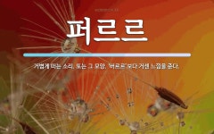 퍼르르 뜻: 거볍게 떠는 소리. 또는 그 모양. ‘버르르’보다 거센 느낌을 준다.