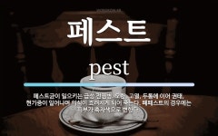 페스트 뜻: 페스트균이 일으키는 급성 전염병. 오한, 고열, 두통에 이어 권태, 현기증이 일어나며 의식