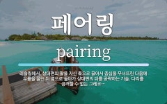 페어링 뜻: 레슬링에서, 상대편의 팔을 자신 쪽으로 끌어서 중심을 무너뜨린 다음에 무릎을 꿇린 뒤 옆으