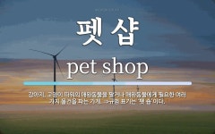 펫 샵 뜻: 강아지, 고양이 따위의 애완동물을 팔거나 애완동물에게 필요한 여러 가지 물건을 파는 가게.