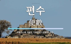 편수 뜻: 비행기나 배, 자동차, 기차 따위가 운행하는 수효.