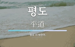 평도 뜻: ‘평로’의 북한어.