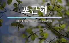 포근히 뜻: 도톰한 물건이나 자리 따위가 보드랍고 따뜻하게.