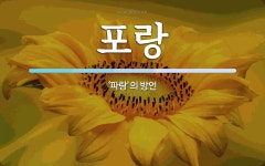 포랑 뜻: ‘파랑’의 방언