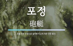 포정 뜻: 포를 주된 무장으로 설치한 비교적 작은 전투 함선.