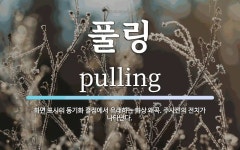 풀링 뜻: 화면 표시의 동기화 결점에서 유래하는 화상 왜곡. 주사선의 전치가 나타난다. 풀링 뜻: 화면 표시의 동기화 결점에서 유래하는 화상... 