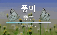 풍미 뜻: ‘풍미하다’의 어근.