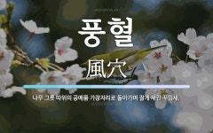 풍혈 뜻: 나무 그릇 따위의 공예품 가장자리로 돌아가며 잘게 새긴 꾸밈새.