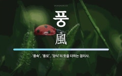 풍 뜻: ‘풍속’, ‘풍모’, ‘양식’의 뜻을 더하는 접미사.