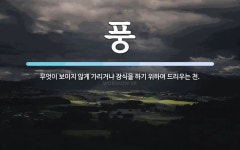 풍 뜻: 무엇이 보이지 않게 가리거나 장식을 하기 위하여 드리우는 천.