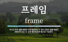 프레임 뜻: 하나의 루마 샘플 배열과 이에 해당하는 두 개의 크로마 샘플 배열이 포함되어 있는 것. 상