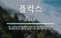 플럭스 뜻: 단위 시간당 단위 면적을 통하여 수증기 등의 물리량이 수송되는 비율. 물리량은 에너지, 질