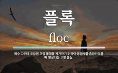 플록 뜻: 폐수 따위에 포함된 오염 물질을 제거하기 위하여 응집제를 혼합하였을 때 형성되는 고형 물질