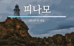 피나모 뜻: ‘피나무’의 옛말.