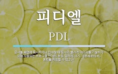 피디엘 뜻: 문서를 화면에 표시하거나 인쇄할 때 문서의 물리적 이미지를 기술하기 위해 사용되는 프로그램
