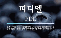 피디엘 뜻: 정보의 목록을 기억시키는 방법의 하나. 가장 나중에 저장된 항목이 가장 먼저 재생된다. 컴