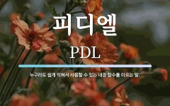 피디엘 뜻: 누구라도 쉽게 익혀서 사용할 수 있는 내장 함수를 이르는 말.