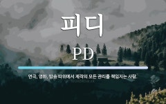 피디 뜻: 연극, 영화, 방송 따위에서 제작의 모든 관리를 책임지는 사람.