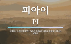 피아이 뜻: 규격에서 규정한 매개 변수 필드에 포함되는 정보의 종별을 나타내는 식별자.
