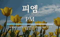 피엠 뜻: ‘오후’를 달리 이르는 말. 시각을 나타내는 숫자 앞에 덧붙여 ‘오후’의 뜻을 나타낸다.
