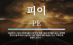 피이 뜻: 비닐하우스 등의 외피복 플라스틱 연질 필름. 광성 투과율이 높고, 표면에 먼지가 잘 부착되
