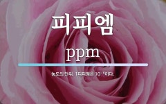 피피엠 뜻: 농도의 단위. 1피피엠은 10－6이다.