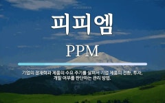 피피엠 뜻: 기업의 잠재력과 제품의 수요 주기를 살펴서 기업 제품의 전환, 투자, 개발 여부를 판단하는