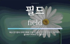 필드 뜻: 육상 경기장의 트랙 안쪽에 만들어진 넓은 경기장. 던지기, 멀리뛰기, 높이뛰기 따위의 경기