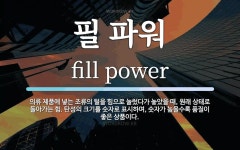 필 파워 뜻: 의류 제품에 넣는 조류의 털을 힘으로 눌렀다가 놓았을 때, 원래 상태로 돌아가는 힘. 탄성