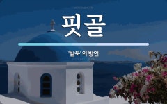 핏골 뜻: ‘밭둑’의 방언