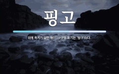 핑고 뜻: 위에 꼭지가 달린 팽이. ⇒규범 표기는 ‘핑구’이다.