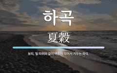 하곡 뜻: 보리, 밀 따위와 같이 여름에 익어서 거두는 곡식.