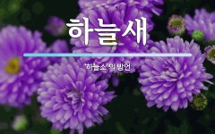 하늘새 뜻: ‘하늘소’의 방언