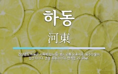 하동 뜻: 경상남도 하동군 서쪽에 있는 읍(邑). 교통 요충지로, 농수산물의 집산지이다. 군청 소재지